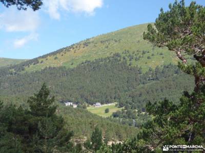 Tejos Rascafría-Valhondillo o Barondillo;costa ártabra floracion de cieza rutas senderismo teruel 